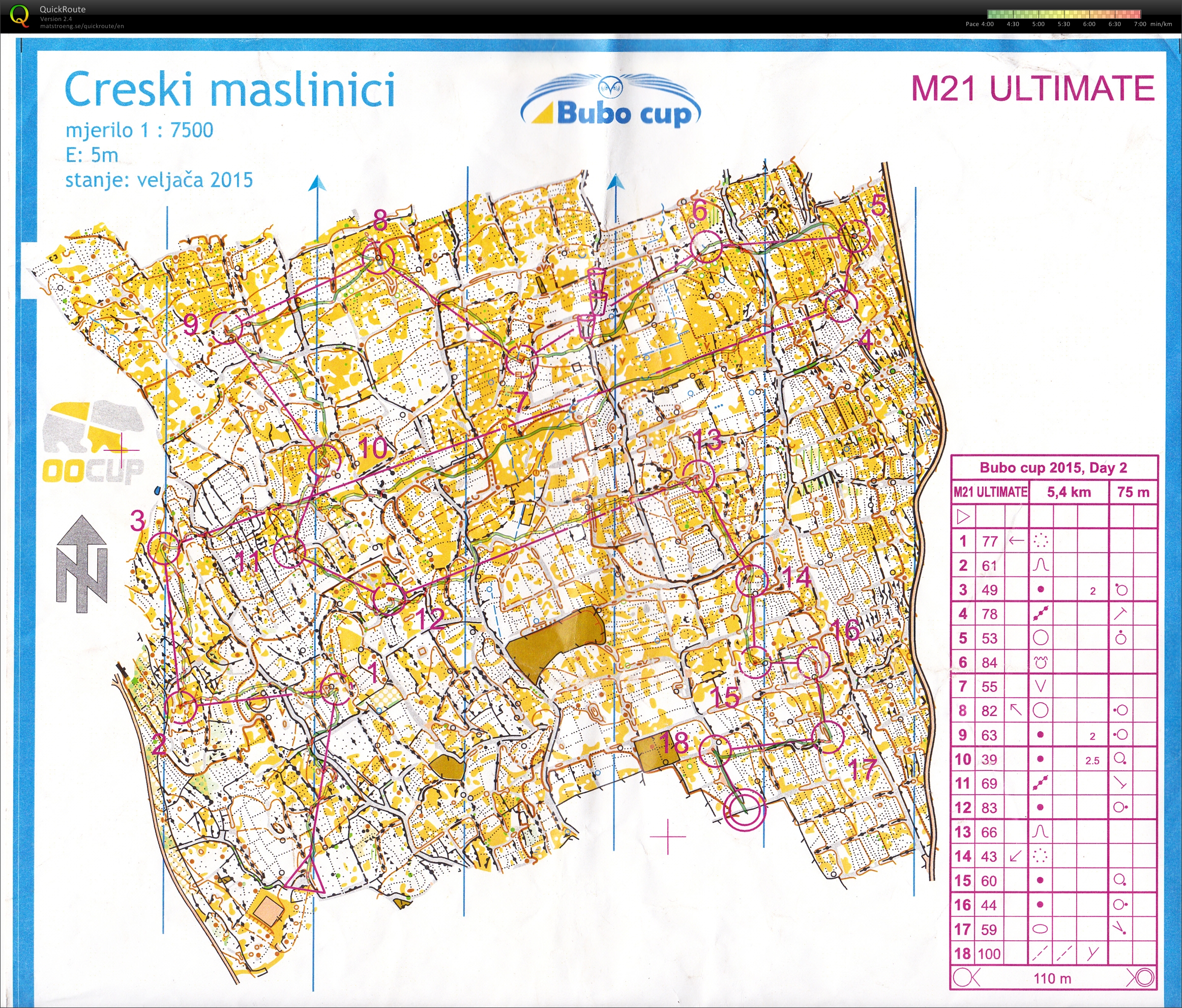 Bubo cup II (2015-08-02)