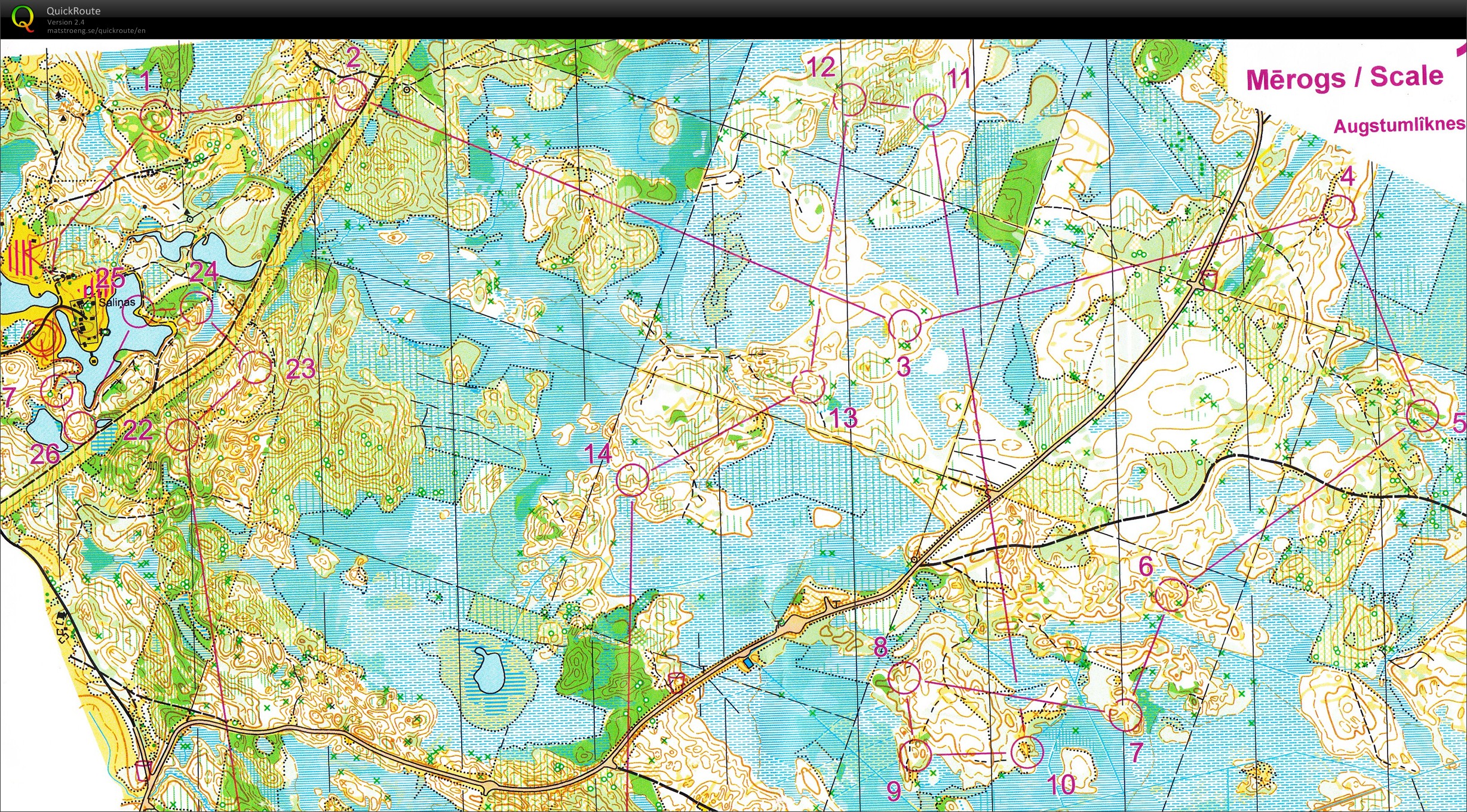 Malienas kauss II (16/08/2015)