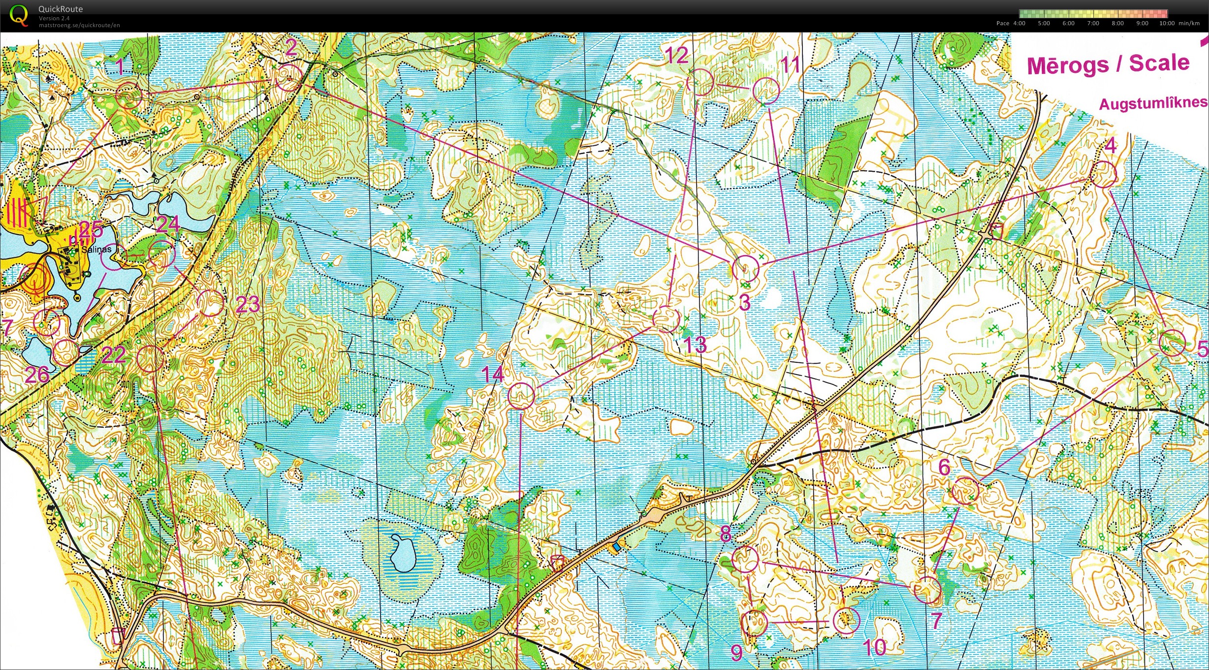 Malienas kauss II (16/08/2015)